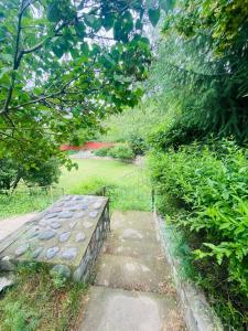 Φωτογραφία από το άλμπουμ του DollanHills σε Kaskelen +25 φωτογραφίες