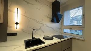 Moderní Hi-Tech apartmán v centru Pardubic - Wi-Fi, Netflix, projektor的厨房或小厨房