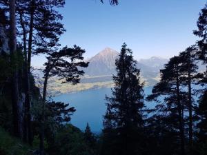 贝阿滕贝格Chalet Lilo 4 Zimmer big view的相册照片
