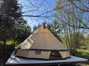 a tent sitting on a table in a field at Glamping under the pines in Vilnius