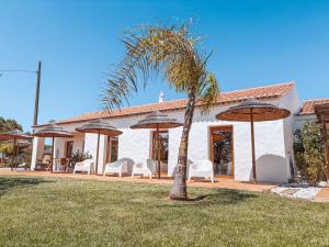 a house with a palm tree and chairs and umbrellas at Monte de São Marco in Corte Paral