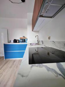 a kitchen with a sink and a counter at La treille Vieux-Lille - 4 pers - Parking in Lille +8 photos