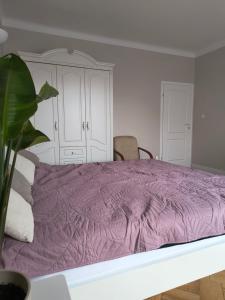 Un dormitorio con una cama morada con una manta morada. en Apartament Mickiewicza, en Olsztyn