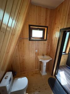 a bathroom with a toilet and a sink at Lerik kirayə ev in Lerik