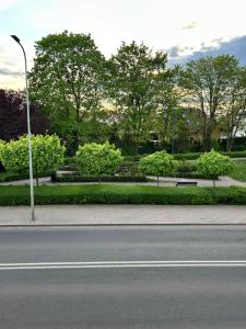 a street with a street light on the side of a road at Libellula in Drawsko Pomorskie