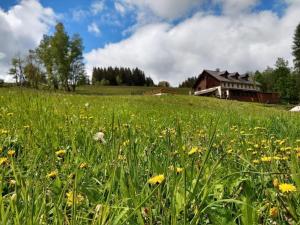 Príroda v okolí dovolenkového domu