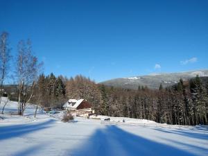 Ferienhaus am Waldrand mit Schwimmbad und Sauna v zime