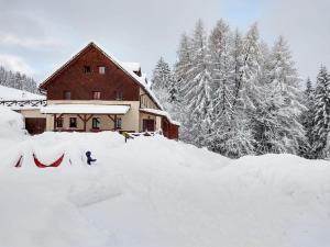 Ferienhaus am Waldrand mit Schwimmbad und Sauna v zime