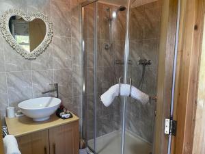 un bagno con doccia, lavandino e specchio di 1 Bedroom Cabin Sleeps 2 Private Garden WiFi a Camelford Altre 27 foto