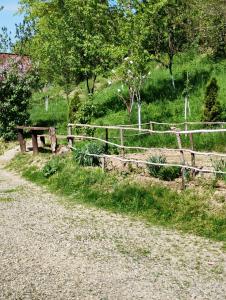 a wooden bench sitting next to a fence at Cabana Victor in Sighetu Marmaţiei