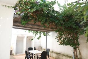 A garden outside Case al mare in Salento - bilocale B9