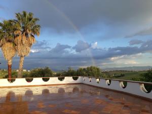 a view from the balcony of a villa with a palm tree at Villa Habana in Fonte Nuova
