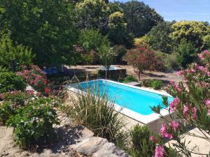 a swimming pool in a garden with flowers at El Majano in Montánchez