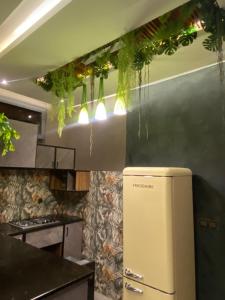 a kitchen with a refrigerator and plants hanging from the ceiling at Keur lumières in Dakar