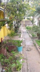 Un jardín fuera de Departamento en Rosarito