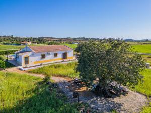 una piccola casa in un campo con un albero di Quinta da Bisa - Casa das Pedrinhas ad Algoz