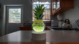 Kuchyň nebo kuchyňský kout v ubytování Paradise by Ellie + 3 fotografie