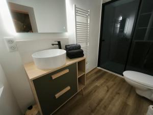 un baño con lavabo e inodoro en Gîte Champagne Philippe Moutardier - Chambre Cépage, en Chézy-sur-Marne