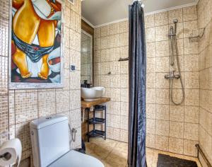 a bathroom with a shower and a toilet at Domki Pokoje Fil in Solina