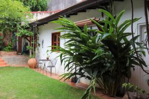 Zahrada ubytování Casa colonial familiar con jardín y piscina en el centro de Asunción - Ideal para grupos