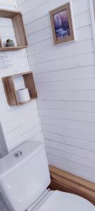 a bathroom with a toilet and two pictures on the wall at Studio montagne in Aulus-les-Bains