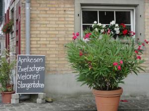 Ein Garten an der Unterkunft Bed and Breakfast Wegmann