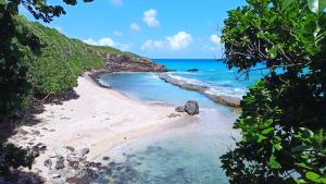 Příroda nedaleko prázdninového domu