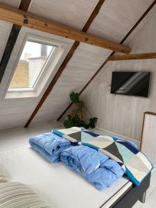 TV a/nebo společenská místnost v ubytování Tinyhouse Thorøhuse