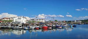 a group of boats are docked in a harbor at Cosy in Saint-Jean-de-Luz