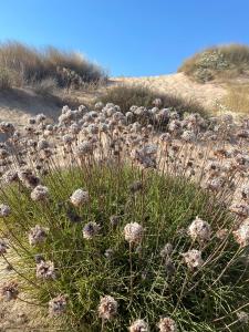 サン・パスクアーレにあるCasa San Pasquale panoramica e tranquillaのギャラリーの写真