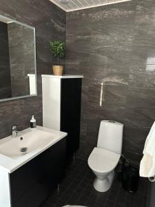 カヤーニにあるHuvilarannallaの白いトイレと洗面台のあるバスルーム +28枚の写真