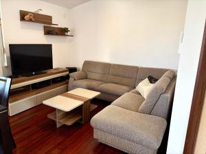 Μια τηλεόραση ή/και κέντρο ψυχαγωγίας στο OliveTree Apartments