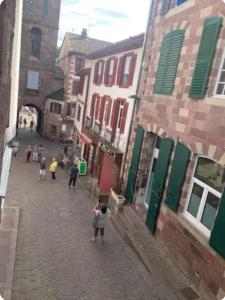 a group of people walking down a street with buildings at Joli Appartement T2 in Saint-Jean-Pied-de-Port