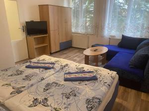 a living room with a bed and a couch at Apartmány Sluníčko in Nová Bystřice