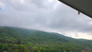 Afbeelding uit fotogalerij van Kalinin 245 in Dilidzjan +11 foto's