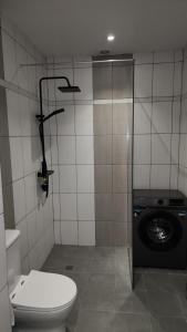 a bathroom with a toilet and a washing machine at Kalinin 245 in Dilijan +11 photos