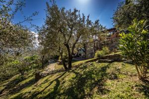 Zahrada ubytování Bed Breakfast La Paggeria