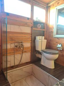 a bathroom with a toilet and a shower at Wooden House at the Mountain-private in Paránimfoi +37 photos