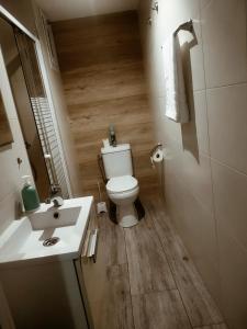 mała łazienka z toaletą i umywalką w obiekcie Habitacion cerca a Ciudad de las Artes y las Ciencias w Walencji