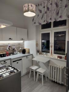 Kuchyň nebo kuchyňský kout v ubytování Magnolia Rooms Plus