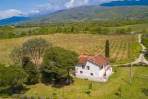 Vista aérea de una casa en un viñedo en Cozy Counrtry House, en Terranuova Bracciolini