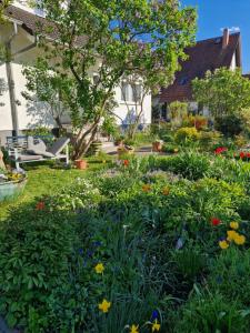 a garden with colorful flowers in a yard at Kleine moderne Ferienwohnung in Tauscha
