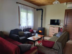 a living room with couches and a wood stove at SeaSaos in Samothráki