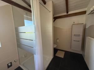 Ένα μπάνιο στο Ferienwohnung Osterfuchs im Altmühltal +10 φωτογραφίες