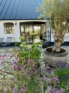 a garden with a tree and flowers in front of a building at Traditional Scanian Farm In The Fields Of Österlen in Gärsnäs