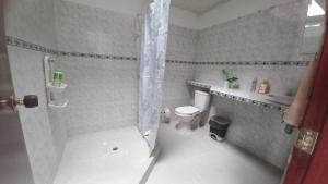 a small bathroom with a shower and a toilet at Casa Villetana in Villeta +33 photos