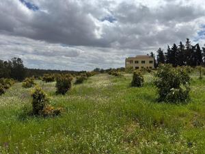 Paysage naturel près de la maison de vacances