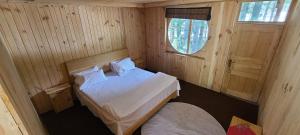 En eller flere senge i et værelse på Ecotourism Huts Kumrat