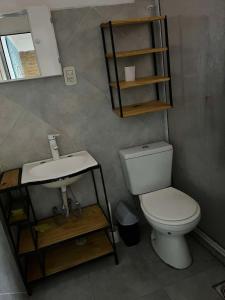 a bathroom with a toilet and a sink at El patio apart in Esquina +49 photos