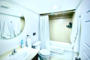 a bathroom with a sink and a toilet and a mirror at Modern and Cozy Basement Stay in Ajax in Ajax +16 photos